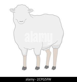 Tier Charakter Schaf stehend weiß isoliert Hintergrund mit flacher Farbe Stil Stock Vektor