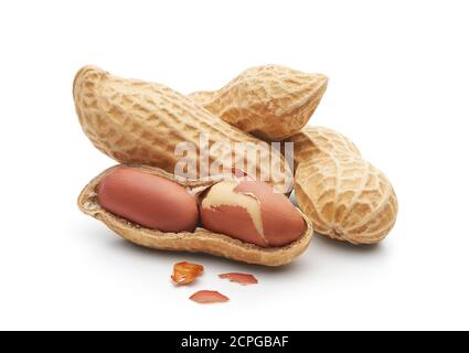 Gruppe von Erdnüssen isoliert auf weißem Hintergrund - Clipping Pfad Enthalten Stockfoto