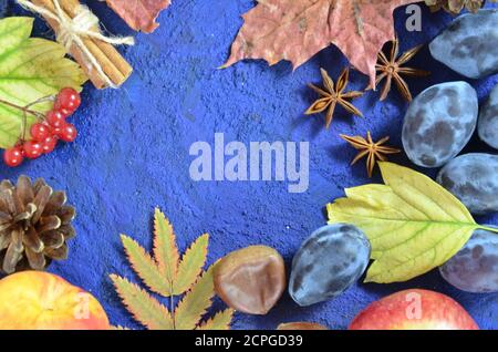 Herbstlese, Trauben, herbstliche Blätter, Äpfel, Pflaumen, Zimt, Anis. Wilde Trauben im Herbst bei Regen Stockfoto