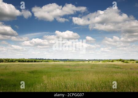 Landschaftsbild von Ackerland rund um das Dorf Süd Woodham Ferrers in essex england Stockfoto