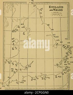 . Bulletin des British Ornithologeologists' Club . H. F. Lichter. Abwanderung (2). Whitby. Withernsea. 327 WALES. ANGLESEY. Skerries Lighthouse. BRECKNOCKSHIRE.Davies, C. F.Vaughan, A. Gwynne- CARDIGANSHIRE. Edwards, Stanley CARMARTHENSHIRE, Barker, T. W.Elton, H. B.Powell, L. N.Stephens, D. E.Williams, D. L. CARNARVONSHIRE. Orton, Dr. K. J. P.Roberts, L. Wilson Lights. Bardsey. St. Tudwal. DENBIGHSHIRE. Gallwey, Miss F. Payne-Ruddy, ThomasRussell, W. B. GLAMORGANSHIRE.Evans, HaroldEvans, HerbertHenderson, J. (Jun.), 328 GLAMORGANSHIRE (con.).Ingram, G. C. S.Jones. D.Perkins, E..Player, W. J. P.Proger, Stockfoto