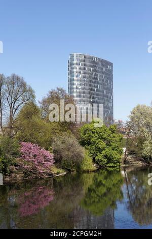 Schwanenspiegel im Frühjahr, GAP 15 Büroturm, Düsseldorf, Nordrhein-Westfalen, Deutschland, Europa Stockfoto