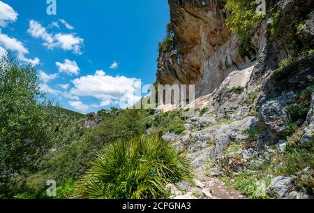 Wanderweg, die Grüne Schlucht, Garganta Verde, Sierra de Cádiz, Cadiz, Spanien, Europa Stockfoto