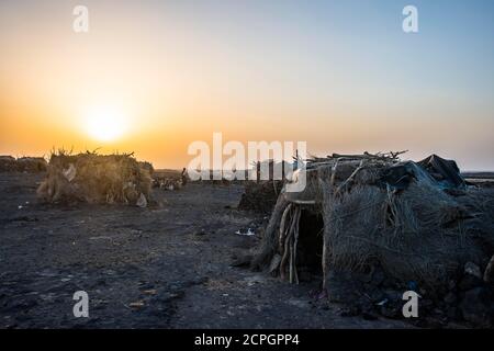 Dorf mit Hütten der Afar Nomaden bei Sonnenuntergang, Danakil Depression, Afar Region, Äthiopien, Afrika Stockfoto