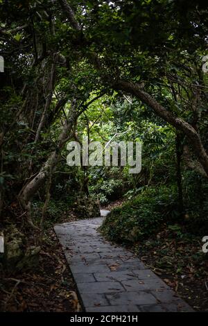 Pfad im Kenting Nationalpark Stockfoto