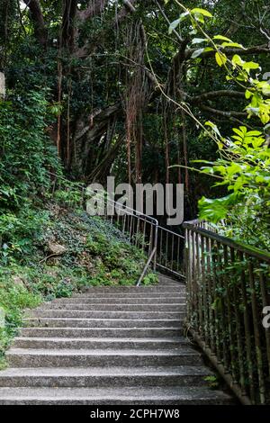 Steintreppen in der Kenting National Forest Recreation Area Stockfoto