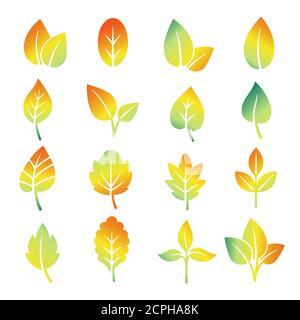 Bunte, gradient verlaufende Silhouetten. Vektor grün, orange, gelbe Blätter isoliert auf weißem Hintergrund Stock Vektor