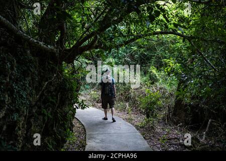 Wanderer in der Kenting National Forest Recreation Area Stockfoto