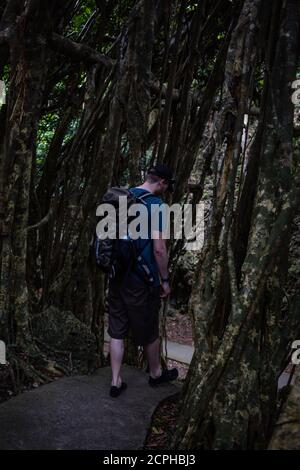 Wanderer in der Kenting National Forest Recreation Area Stockfoto