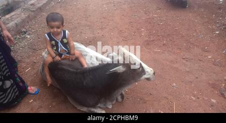 BEZIRK KATNI, INDIEN - 23. SEPTEMBER 2019: Ein indisches kleines Kind, das auf Kuh auf Straße sitzt. Stockfoto