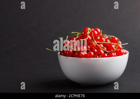 Frische rote Johannisbeere in weißer Schale auf schwarzem Hintergrund. Seitenansicht, Kopierraum, Nahaufnahme. Stockfoto