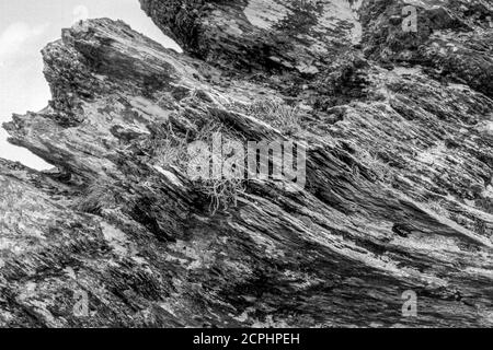 Geokaun Mountain, Valentia Island, County Kerry, Irland Stockfoto