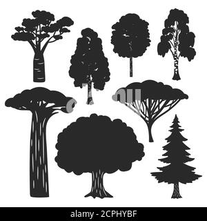 Vektor Bäume Wald schwarze Silhouetten isoliert auf weißem Hintergrund. Birke und Eiche, immergrüne Kiefer Silhouette Illustration Stock Vektor