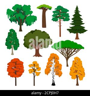 Cartoon-Bäume. Sommer, Herbst Wald Bäume Vektor-Symbole Stock Vektor