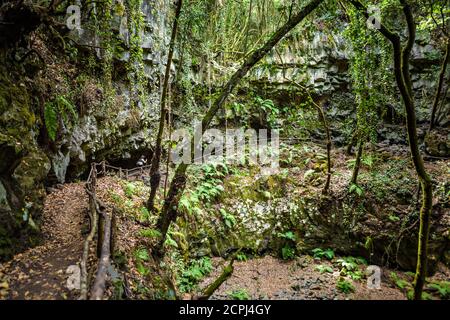 Frau Wandern auf der endero der Bramble Insel La palma, kanarische Inseln Stockfoto