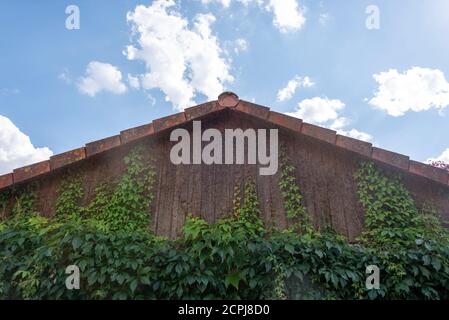 Deutschland, Bayern, Möhrendorf, Althausdach, Holzblätter, Hausfassade, Wildwein Stockfoto