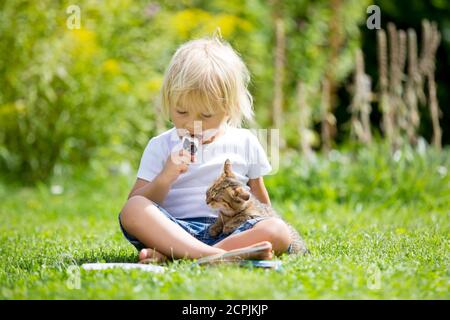 Cute blonde Kleinkind Kind, süßen Jungen, spielen im Garten mit kleinen Kätzchen, Buch lesen Stockfoto