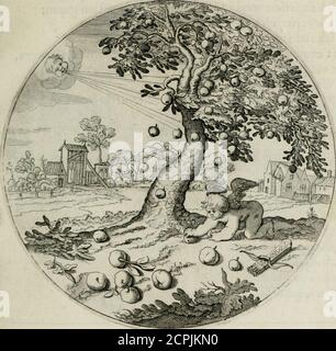 . Iacobi Catzii ... Silenus Alcibiades, sive Proteus: . volvvairen dieren :Te licht, eylaes. te licht naer mengen crommen Ipronck,Wert yemant daer gheleyt : ^lijn dochter is te jnncl^.Een rijper dient U beft:, daer vrijtmen veel gherufterju bnyft nter. Groen fruyt is fteech en tay^ ten wil niet van den tack.. Grijpt na de rijpe Peer j dieplucktmen metghemack. M Ito. Pryum vel fponte fluit. SIgreyeprolixos tibtPef^tis abhorrct amoresj(^andida. Conjitgtj Ji tibi meta placet^Hanc -Ltarnes fit cura,, Soror cuintibilis injïat:Nonnef-vides ? Fronda Fi-07ide j)RE Stockfoto