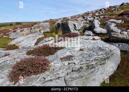 Im Sommer im North York Moors National Park in der Nähe von Goathland, Yorkshire, Großbritannien, findet man eine schroffe Moorlandschaft mit großen Felsbrocken und blühenden Wildheiden. Stockfoto