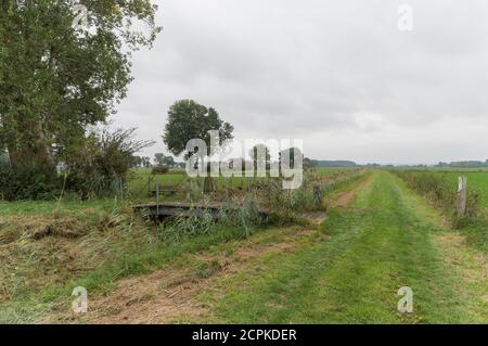 Landwirtschaftliche Felder in Zeeland bei Millingen aan de Rijn, Niederlande Stockfoto