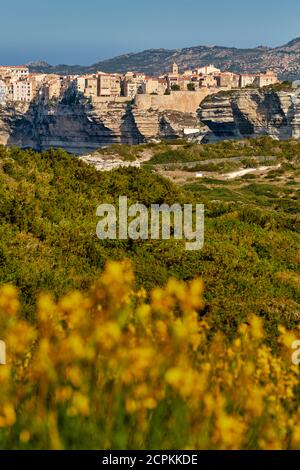 Die Limestone Küste und clifftop Zitadelle Stadt Bonifacio liegt an der südlichen Spitze von der französischen Insel Korsika - Corse du Sud Frankreich Stockfoto