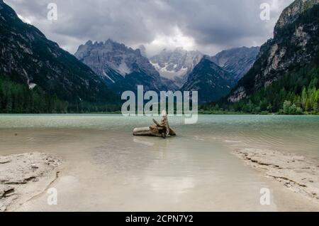 Ein Teil des Baumes am Ufer des Pragsersees und Blick auf die Alpen vom Ufer aus, malerisch. Seiser Alm oder Seiser Alm mit Langkofe und Langkofe Stockfoto