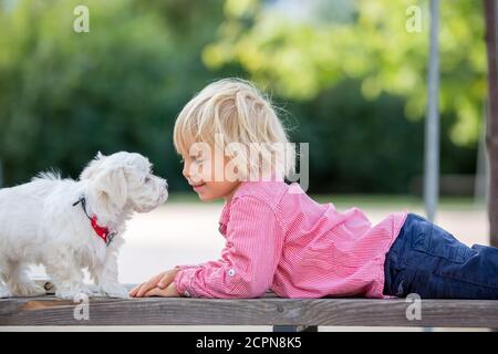 Kind, niedlicher Junge, spielen mit Hund Haustier im Park, maltesischen Hund und Kind genießen Spaziergang zusammen Stockfoto