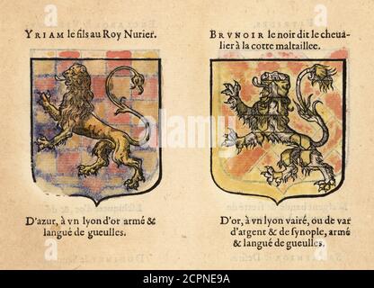 Imaginäre Wappen des ersten Kapitels von König Artus Ritter des Runden Tisches: Sir Ywain, Sohn von König Urien mit goldenem Löwen, Brunor le Noir mit Löwe. Chevaliers de la table ronde: YRIAM le fils au Roy Nurier., BRUNOIR le noir dit le chevalier a la cotte malaille. Handkolorierter Holzschnitt aus Hierosme de Bara’s Le Blason des Armoiries, Chez Rolet Bouton, Paris, 1628 Stockfoto