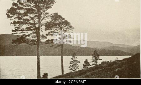 . Das Land der Hügel und der Glens; wildes Leben in Iona und den inneren Hebriden. Im Herzen des Hügellandes, Stockfoto