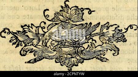 . Iconologia del cavaliere Cesare Ripa, perugino . [ ^^ Ligure così dai duolo Fi lafciò traffportare , che dalla Umanacognizione ufcito , Fu trasformato in un pennuto animale > che ritiene ilfuo nome , e chiamafi Cigno .. UND AFFET- 59 ICONOLOGIA AFFETTAZIONE. Delv Sahm Cefare Orlandi^ Stockfoto