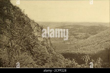 . Jahresbericht . F. F. Moon, Foto. EIN REIFER STAND AUS HARTHOLZ; EHER SELTEN IN DEN HIGHLANDS. V. T. Howell, Foto. BLICK NACH UNTEN STURM KÖNIG NELKE, ZEIGT CHARAKTER VON HÄNGEN. KOMMISSAR FÜR WALD, FISCH UND WILD. 227 Punkte Reservierung. Verschiedene andere Krankheiten sind zu finden, aber die twoobove sind mit Abstand die schwersten. Insekten. Ulmen werden von den Käfer etwas gestört und einige der schwarzen Eiche scheinen mit blattfressenden Insekten befallen zu sein, aber in keinem Fall ist der Schaden spürbar. Trotz der Anzahl der schwarzen Heuschrecken auf den Hügeln und entlang der Straße gefunden, scheint die Heuschrecke Borer p Stockfoto