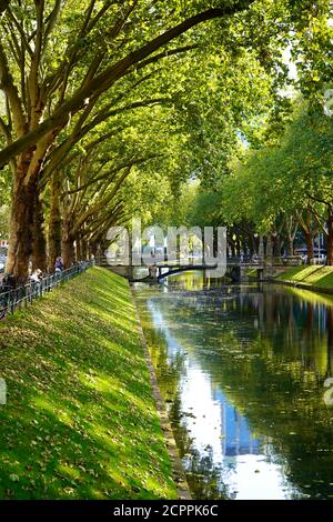 Der schöne grüne Stadtkanal "Kö-Graben" an der Königsallee in Düsseldorf. Mit seinen alten Bäumen, ist ein Stück grüne Natur mitten in der Stadt. Stockfoto