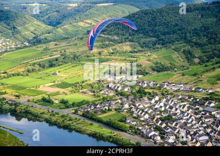 Schleife von Bremm von Calmont an der romantischen Mosel, Mosel. Gleitschirmflug. Rheinland-Pfalz, Deutschland Stockfoto