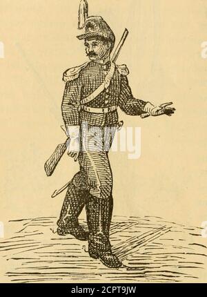 . Wo die Wintermonate zu verbringen. Eine Vogelperspektive von einer Reise nach Mexiko, über Havanna . rdova undOrizaba. Am 5. September 1872 begannen die Züge von Vera Cruz nach Orizaba. Dank der unermüdlichen Energie des Ingenieurkorps, dessen Chef Ner Buchanan war. In Bezug auf die Technik ist die Vera Cruz Eisenbahn-Straße unübertroffen, und die Pracht der Landschaft entlang seiner Route wird in unserer Erinnerung bleiben als ein ex-ceptional und bewundernswerte Bild ; Man kann kaum eine Idee dieses glori-ous Panoramas bilden, das steigt, wie wir von den plätschernden Wassern des Ufers tun, daser ihre Melodien durch chanten Stockfoto