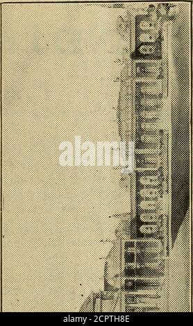 . Der Öloge für den Schüler von Vögeln, ihren Nestern und Eiern. Hicolor.) Bank Swallow (Riparia riparia.) Diese vier Arten, getrennt und assoziiert, wurden häufig über Lager gesehen. Weißwürger (Lanius lu-dovicionus excubitorides.) Garnelen, die zu dieser Art gehören sollten, wurden häufig über Lager gesehen. Rotaugen-Vireo (Vireo olivaceus.)Gemeine. Gelbkehliger Viero (Vireo flavi-frons.) Ein Hinweis. Schwarzer und weißer Walmler (Mniotil-ta varia.) Eine gesehen. Prairie Warbler (Dendroica discol-or.) Allgemein. Gelbbrustchat (Icteria vir-ens.) Ein Hinweis. Catbird (Galeoscoptes carolinen-s Stockfoto