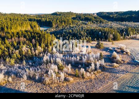 Leonhardsfilz Naturschutzgebiet im Winter, bei Dietramszell, Drohnenbild, Oberbayern, Bayern, Deutschland Stockfoto