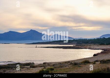 Küste mit agler im Morgenlicht, bei Can Picafort, Mallorca, Balearen, Spanien Stockfoto