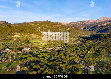 Kulturlandschaft mit blühenden Mandelbäumen, Mancor de la Vall, Serra de Tramuntana, Luftbild, Mallorca, Balearen, Spanien Stockfoto