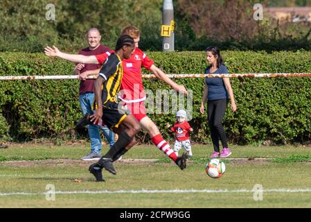Southchurch Park, Southend on Sea, Essex, Großbritannien. September 2020. Southend Manor war Gastgeber des Essex Senior League Teams Cockfosters in der ersten Qualifikationsrunde des Buildbase FA Vase Fußballwettbewerbs, der den langen Weg nach Wembley einnahm. Da sich der Wettbewerb der vorherigen Saison aufgrund der COVID-19 Coronavirus-Pandemie sehr verzögert hat, wurde das Finale für 2019-2020 noch nicht gespielt. Eine begrenzte Anzahl von Unterstützern durfte das Spiel, das mit einem 1-0-Sieg für Cockfosters endete, in Rot verfolgen. Familienbeobachtung Stockfoto