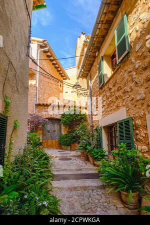 Blumentöpfe in Gasse, Fornalutx, Serra de Tramuntana, Mallorca, Balearen, Spanien Stockfoto