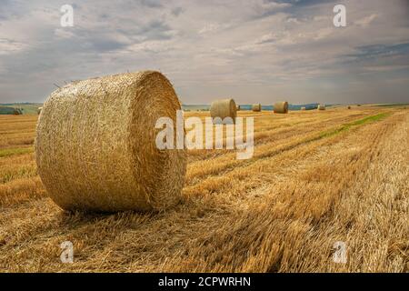 Runde Heuballen im Feld und wolkig Stockfoto