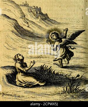 . Pia desideria authore Hermanno Hugone . reffus edendi, Omnis & abfque msri munere pulfa fitis.kan iftis teinerant Superi conuiuia menlis, *K Regi» fiaiilcs fusgeric.UU dapes. JUfnuaa LIBEH TERTIVS. 17» ByCum finc carne epulas Bacchoque miniftrat Coelicolumque venitmillus in ora cipus.Coeletes onerant .incognitafercula lanjs, Ouales nemo hominum, contigit ore fibos.AmScofi*, Superos bitarar, quis nefcio, iutcus» DIUS, SC arthercum hufre. Gaudet & auratis gens epulata toris.Gaudet ,& Angelkos placidis bibit aortbus nymno» f.t falit, & ruti Stockfoto