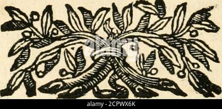 . Iconologia del cavaliere Cesare Ripa, perugino . CM del UNA vaga e bella Donna » con una Lira doppia dì quìndici corde ìir smano. Incapo avrà una Corona con fette gioje tutte uguali. II Ve-Himento è di fette colori » guarnito di oro, e di diverfe giojc.. ARRO- TOMO PRIMO,ARROGANZA ùì Cefare I^ipa^ 1<?J Stockfoto