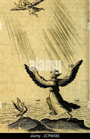 . Pia desideria authore Hermanno Hugone . Impedient faciem vela nec vlla tuam?Solaque, qusefneras Animo hbata voluptas, Tandem oculis etiam percipiere meis»Illa dics, faufto ii quando aifulferit aftre, Iuro>erit his ocuiis carior IJla stirbt. AVGVSTINVSln Pfalz* 43» SJinuenis meliusyquam vi*dere faciem Det y illuc tsPrapara* VA tali amori tuo y fivel fufpicaris alicjuid pulcriwyquamefiilley aquoefiomn*pulcbrH n y quod te teneat 7 neillum cogitare% Xmerearis III I72 SVSPIMA Quis iahk mih pennas Juui fdumbiZrCfvoldbo tf retjuwcam * T/AT. USD. LIBER TERTIYS 171XIII. Qjiis mihi dabit fennasf Stockfoto