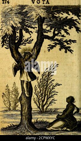 . Pia desideria authore Hermanno Hugone . fuetat vifus praecipitafle dies.cpedomi tacitaslufu traduximus horat, Vnaque fspc foris menfa duobus erat.LON ira Seianum Lati* fauor extuht Auls?; Clitus Alexandrononi.a Cam? ERAT.loramodus iiaadtaotum potuittribmueCleandr*Â» AUT Conftantini plus amor Ablauio.Â»mque fua fateor.fauor hic.nouitate ^acebM* (t propenon foliw res nouitate placent)mlaque felicem , felicem turba vocabat, Ouxa od midhi tanta Ducis fipetts. Qux minimo forti* tnrbine verfa ruit!.Â«eTminax tetricos cceplt Rex ducere vultus, NÂ»c Stockfoto