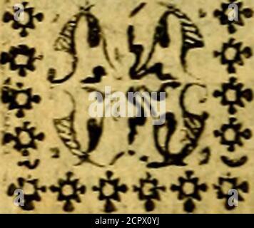 . Pia desideria authore Hermanno Hugone . orauthor opas.VU acn.e ferrxfutn.iftjiHi-iuinciue regu«l:,kur error,Crefcic U GEMITVS CrcCthSi attexti^rjcelexacadiaa rr.alii.scilicet illa manetf lecetedasvfi polofiduc queftudifuuerum Retrahh indedolor.Saspius illa tamcn Red;t e certarr.ine vi4tri», Afsiduus vitio fic licet illecomes.sic habet ahernos virt Stockfoto