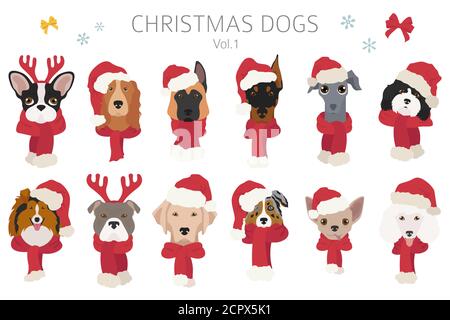 Hundeporträts in Weihnachtsmützen und Schals. Weihnachtsdesign. Vektorgrafik Stock Vektor
