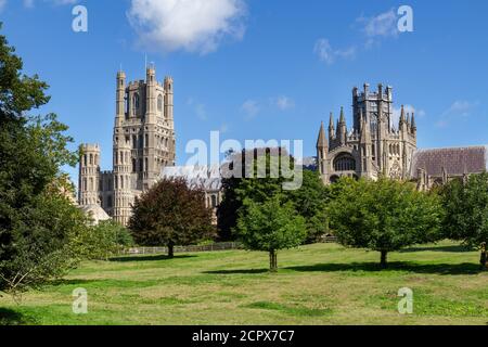 Ely Cathedral vom Cherry Hill Park aus gesehen, Ely, Cambridgeshire, Großbritannien. Stockfoto