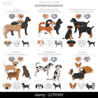 Designer Hunde, Enrage, hybrid mix Hündchen Sammlung isoliert auf Weiss. Flat Style cliparts Hund gesetzt. Vector Illustration Stock Vektor