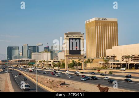 Las Vegas, SEP 15, 2020 - Sonniger Nachmittag des Strip und Highway 15 Stockfoto